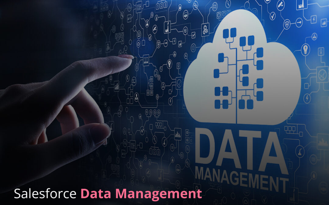 Data Management in Salesforce
